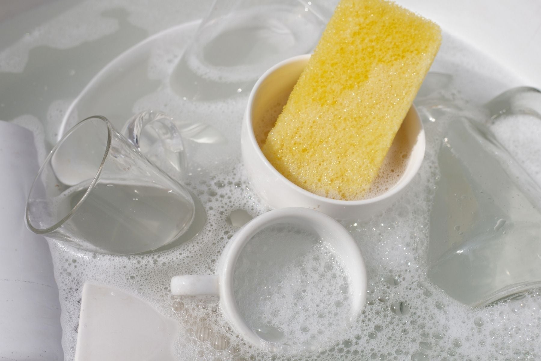 The Scary Truth About "Synthetic Sponges" You Might Be Swallowing Every Day!