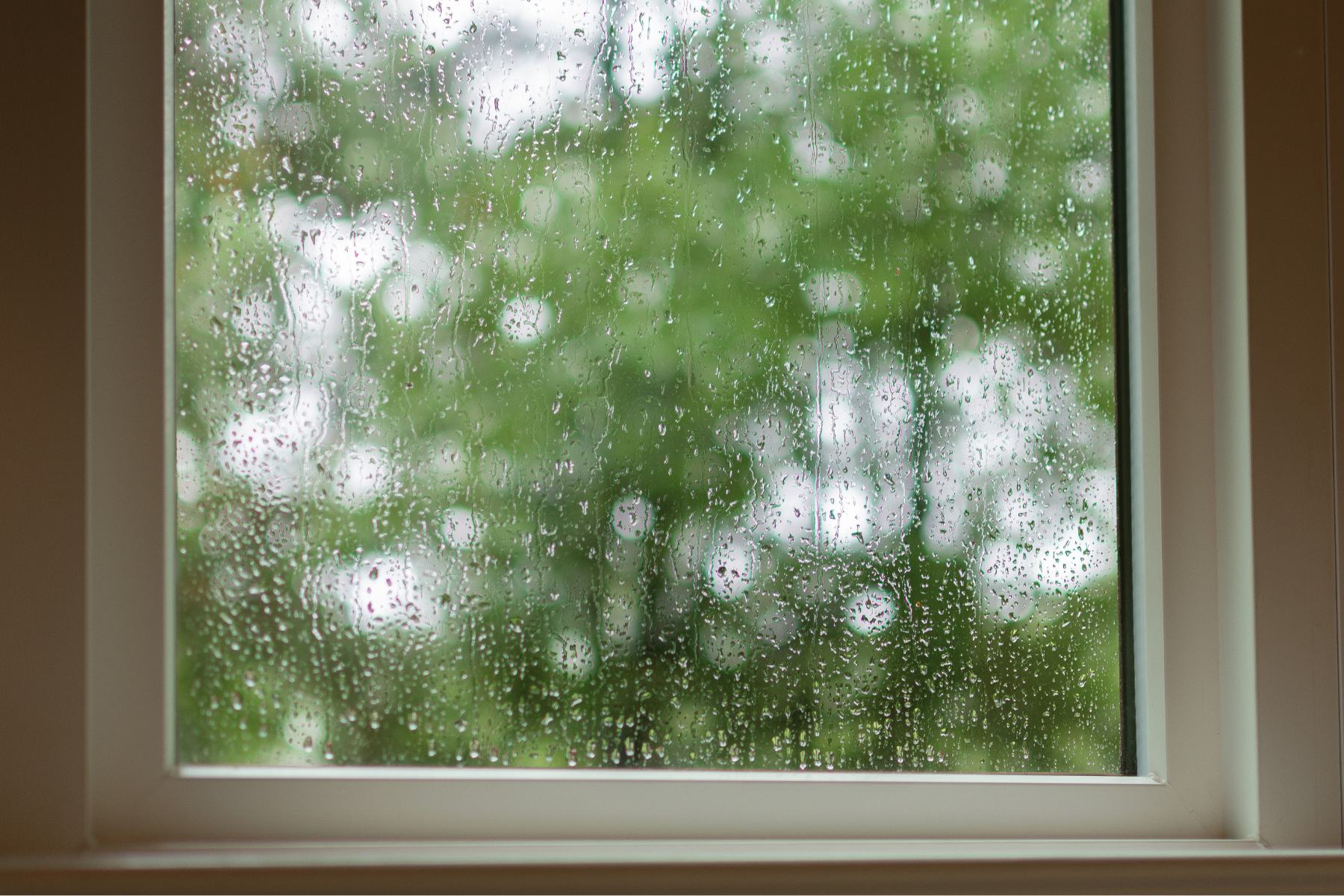 5 Things to Watch Out for at Home  During the Rainy Season